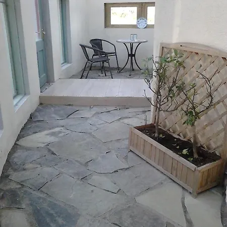 Harmony Hall Veganic * Kilkenny