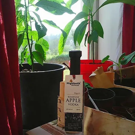 Harmony Hall Veganic Kır Evi *