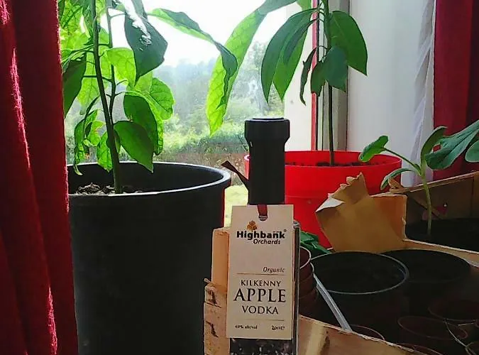 Harmony Hall Veganic 乡村民宿 *