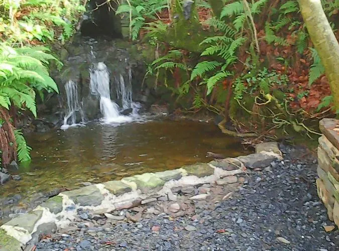 Harmony Hall Veganic 乡村民宿 *